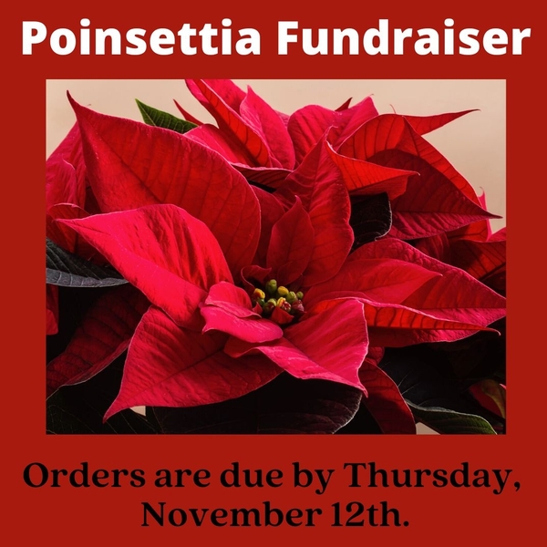 Poinsettia Fundraiser